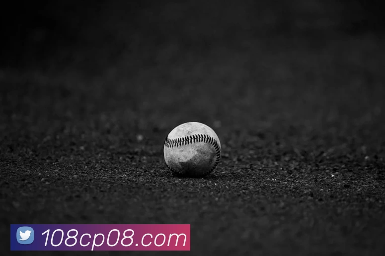 网上购彩票服务体系